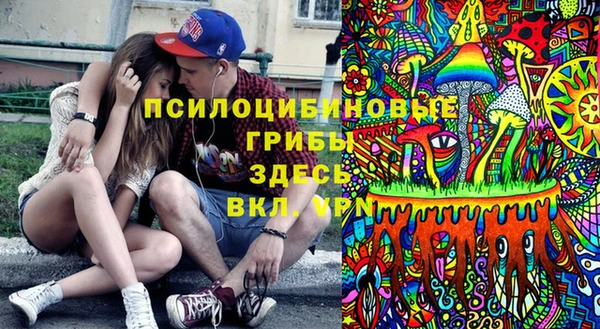 дживик Алексеевка